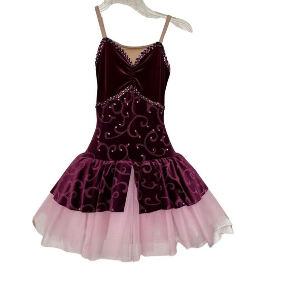 Ballet Dance Dress Costume‎ Girls 6/8 Yrs Burgundy Velvet Rhinestone Swirls Tutu - Picture 2 of 14